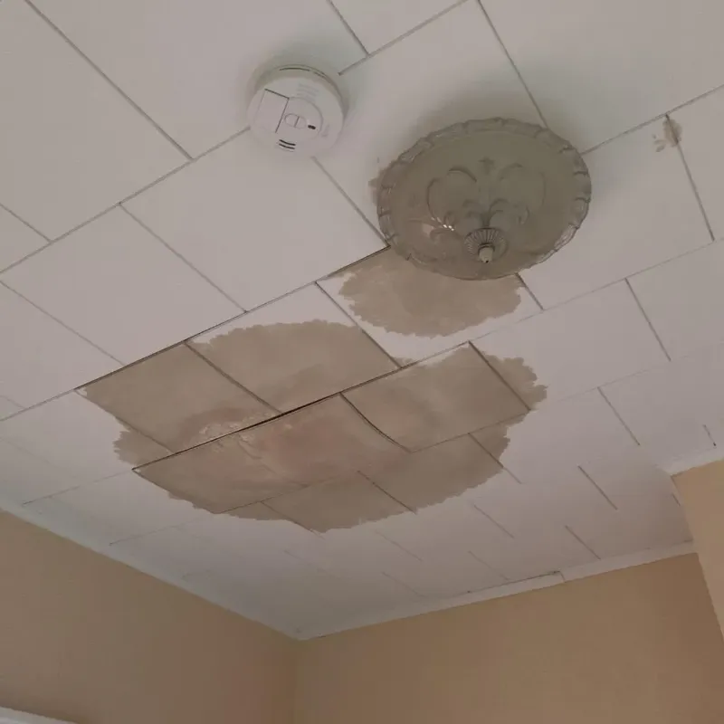 Ceiling Water Damage Repair in Wilson, WY