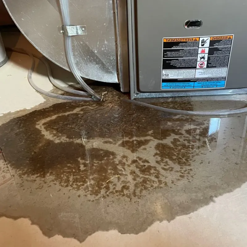 Pipe Burst and Leak Restoration in Wilson, WY