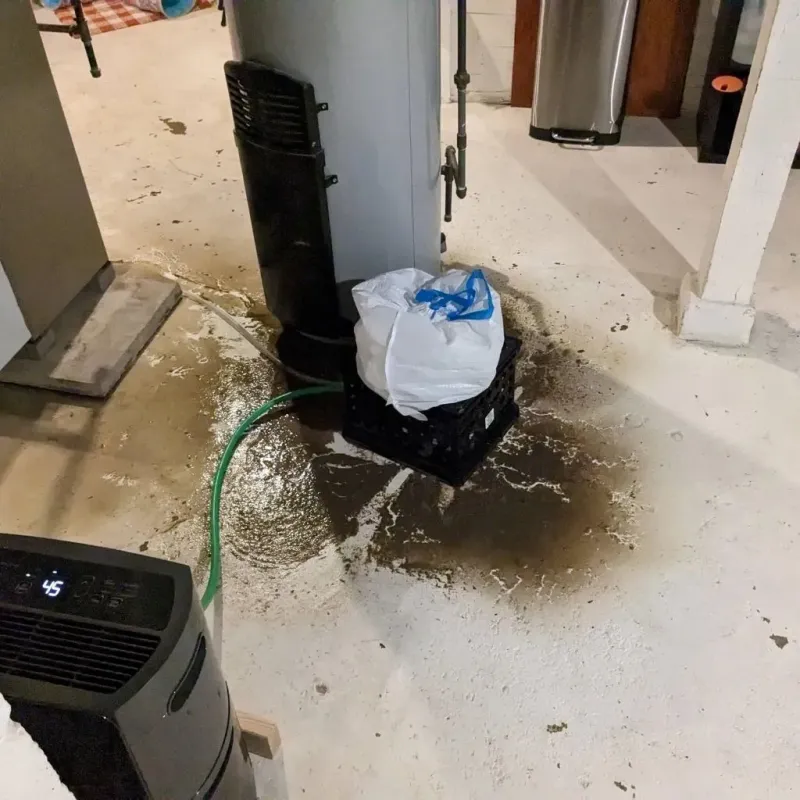 Sewage Backup Cleanup Service in Wilson, WY